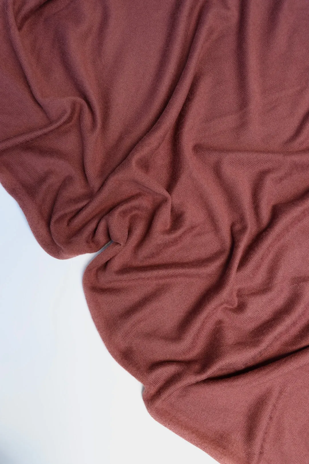 1YD PRECUT; Teddy Bear Brown Versailles Brushed Hacci Sweater Knit
