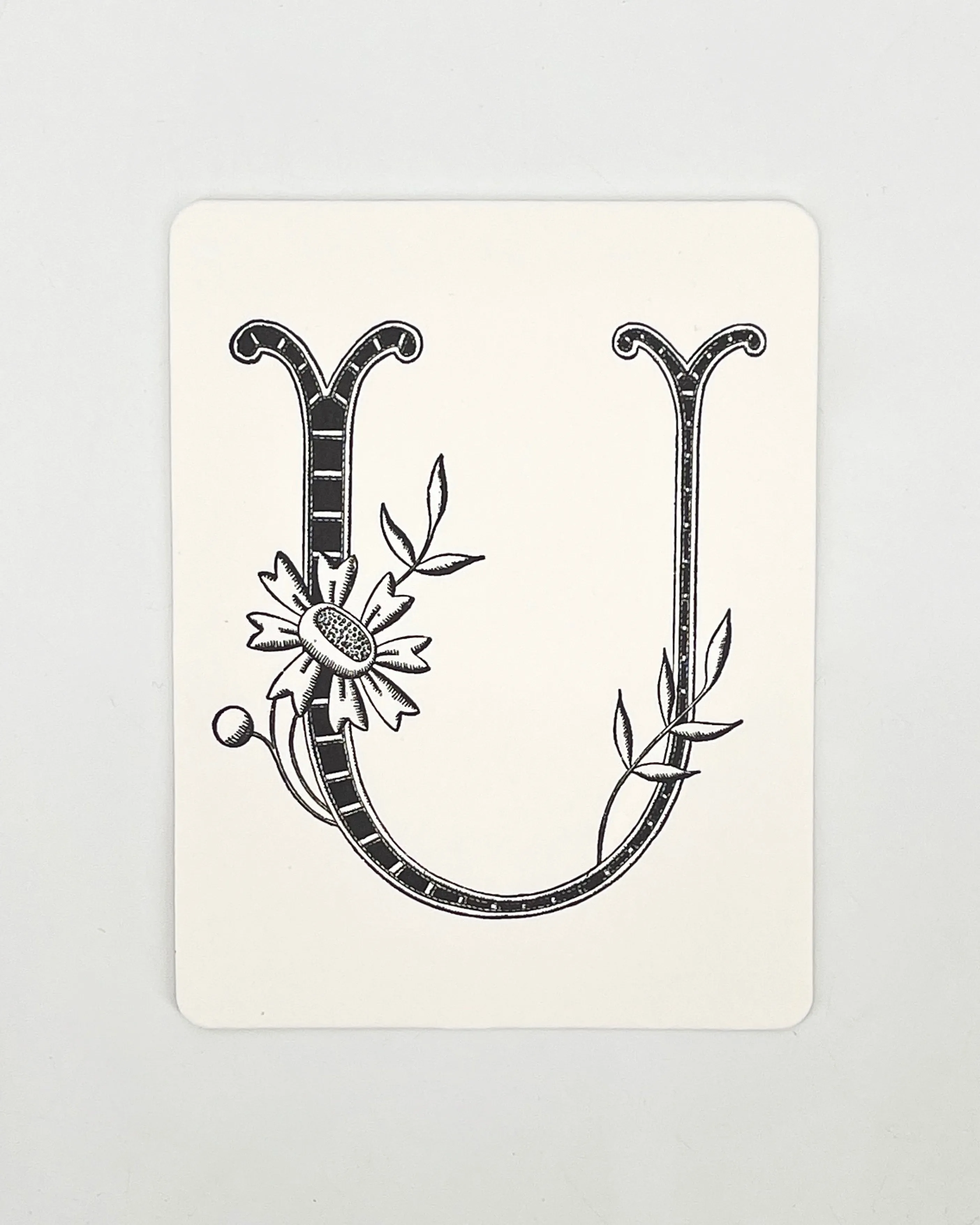 Daisy Monogram Cards