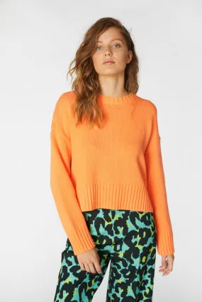 Jamie Jumper
